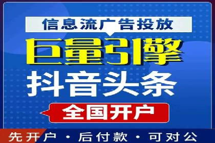 行业领先SEM托管代运营案例
